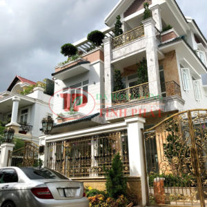MẪU ĐÁ ỐP MẶT TIỀN TP-02