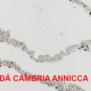 CAMBRIA ANNICCA