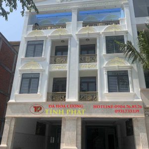 MẪU ĐÁ ỐP MẶT TIỀN TP-06