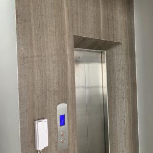 MẪU ĐÁ ỐP THANG MÁY TP-02