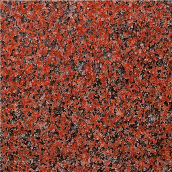 Granite Đỏ Ấn Độ - Đá Hoa cương Tính Phát Stone Bình Dương